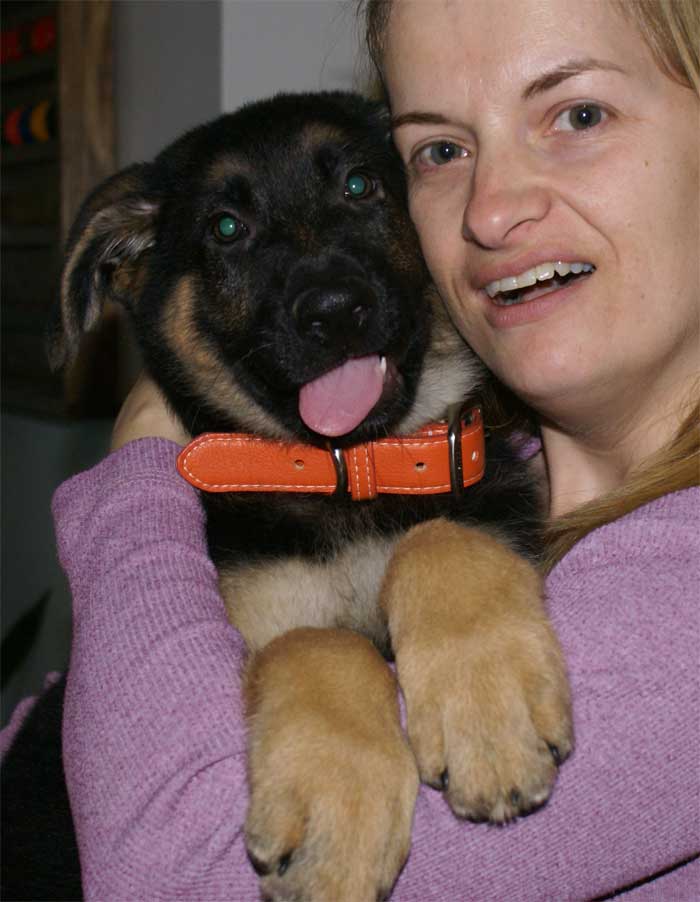 Chiot Femelle Jessie - Elle est partie dans la région de Chatauguay !